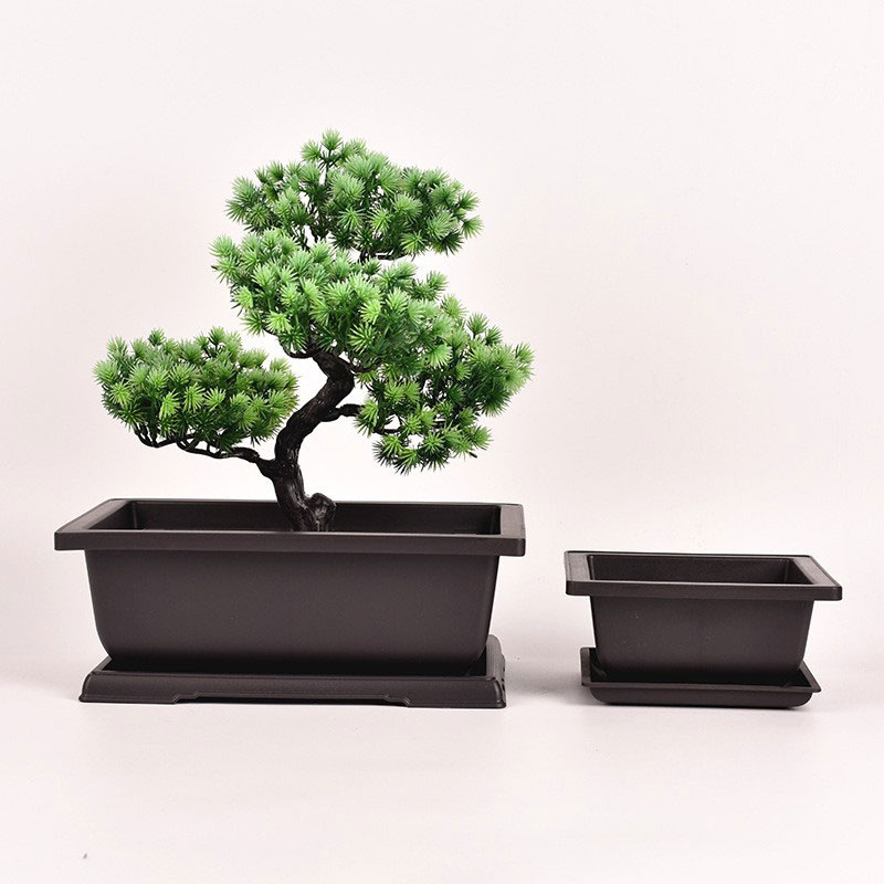 Suorakaide Bonsai Pot